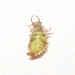 Aphid Wolf Carnage