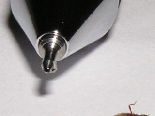 drugstore_beetle_pat
