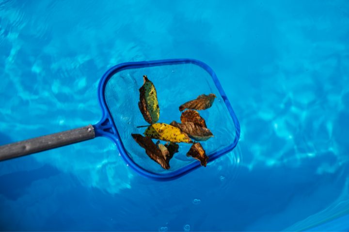 How To Get Rid Of Thrips In Pool