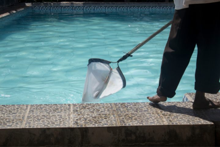 How To Get Rid Of Thrips In Pool