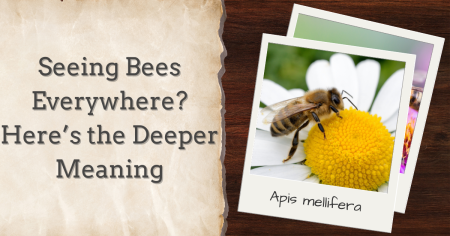 Seeing Bees Everywhere? Here's The Deeper Meaning - What's That Bug?