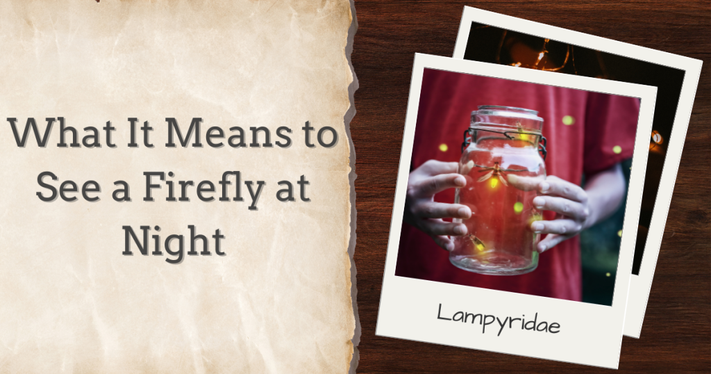 what it means to see a firefly at night