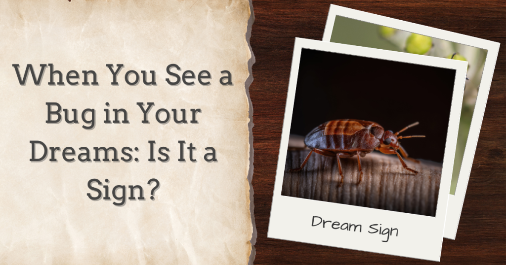 when you see a bug in your dreams