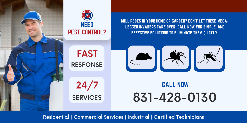 Need pest control